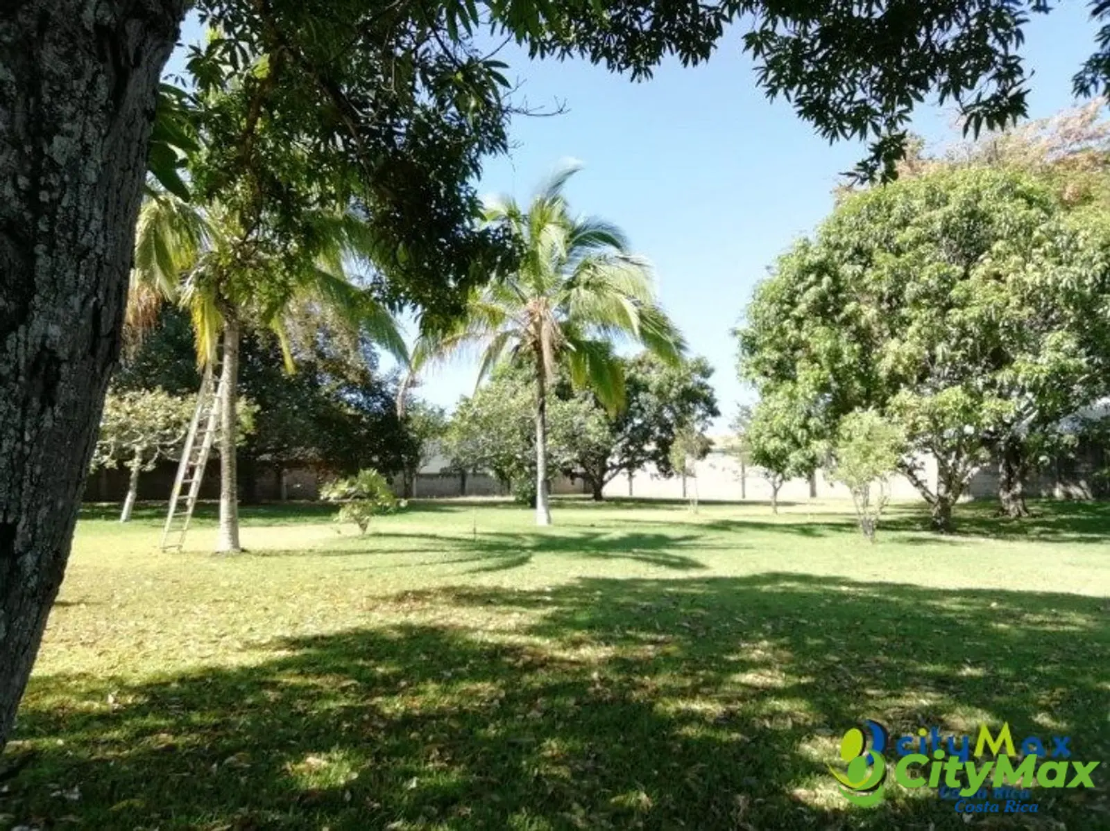 Terreno en Venta comercial u residencial Brasil Mora - foto 3
