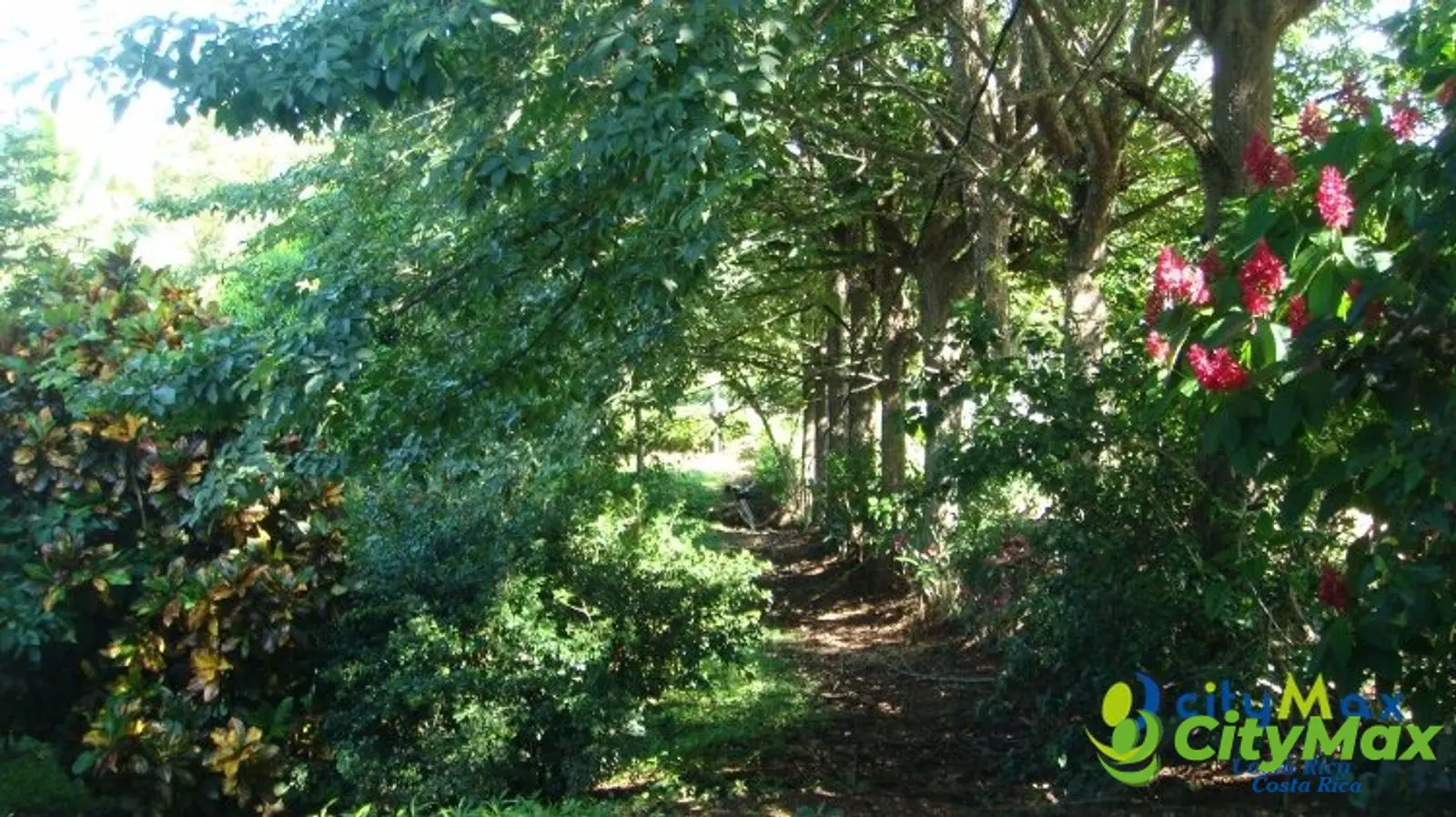Venta de finca Guanacaste Belén Nicoya C.R. 3 hectáreas - foto 18