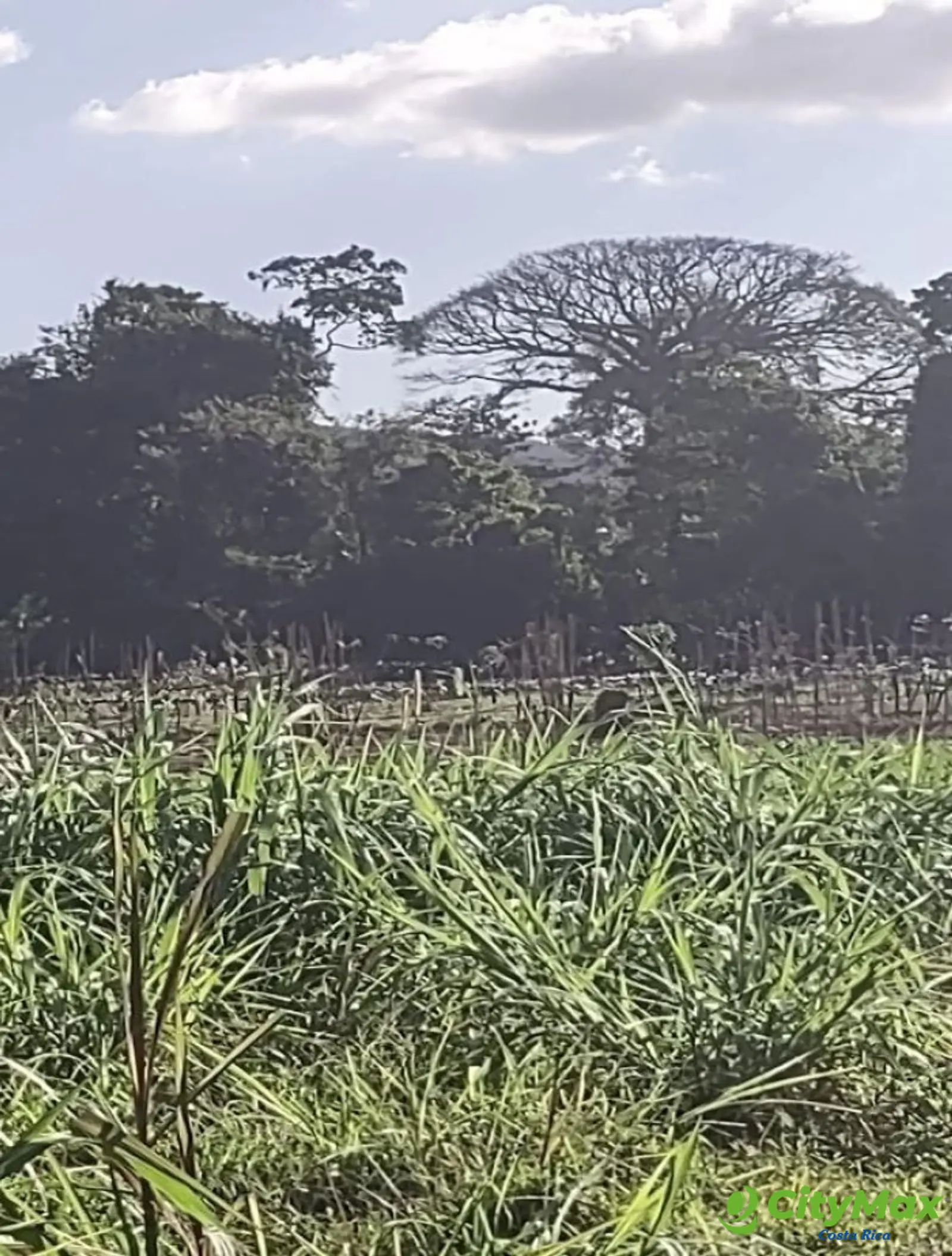 Lotes en venta en Proyecto en Llanos del Miravalles - foto 19