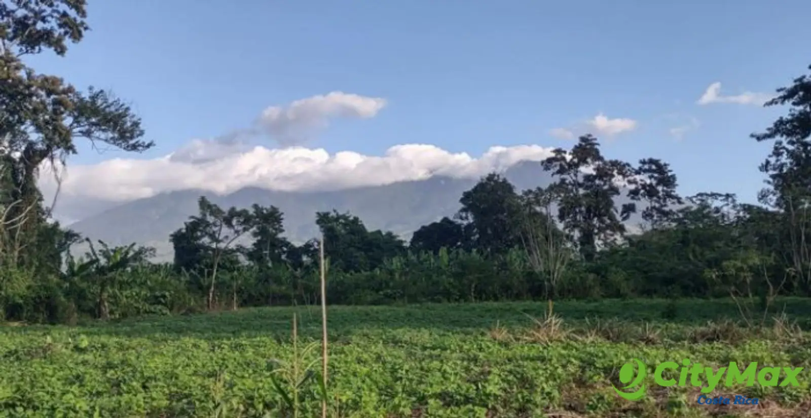 Lotes en venta en Proyecto en Llanos del Miravalles - foto 7