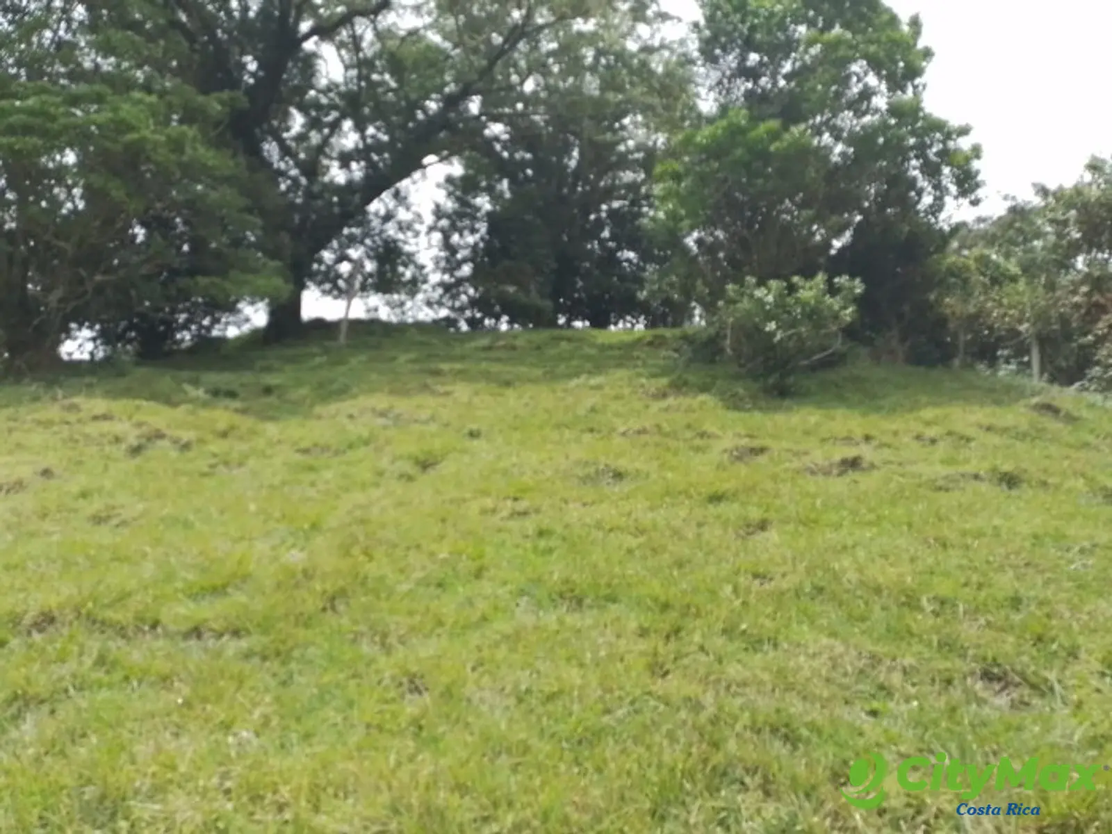 Se vende finca en Varablanca, Heredia - foto 9