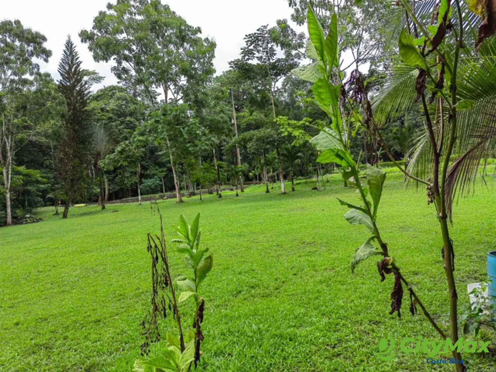 Exclusiva Quinta en Guápiles Ideal para Descanso - foto 8