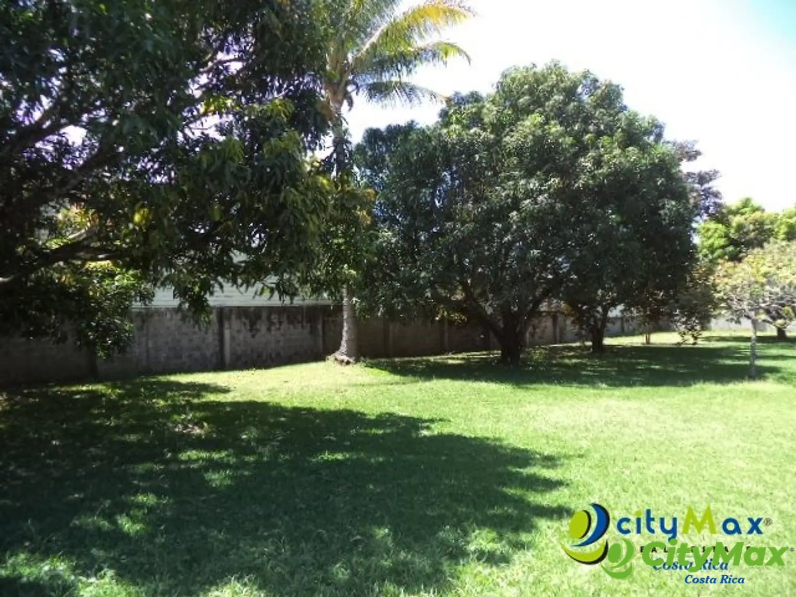 Terreno en Venta comercial u residencial  Brasil Mora - foto 5
