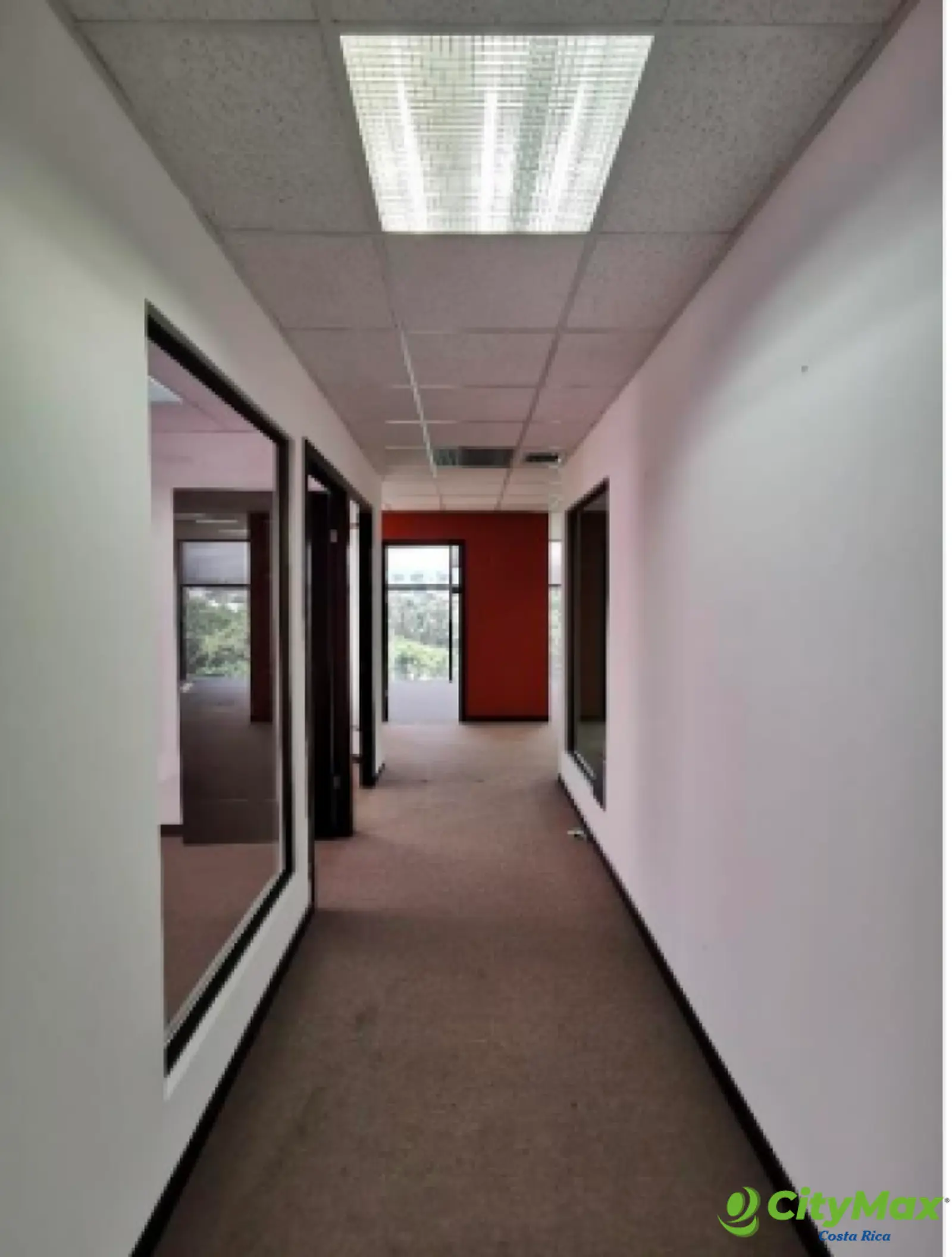 Oficina en alquiler de 328 m² en Oficentro en Escazú - foto 2