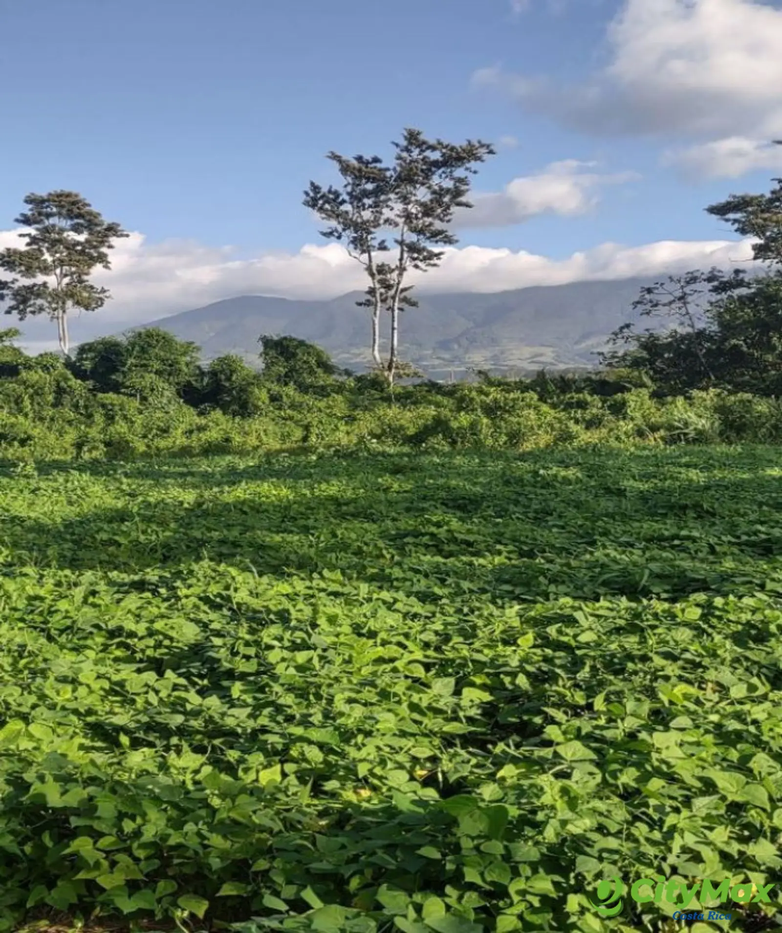 Lotes en venta en Proyecto en Llanos del Miravalles - foto 12