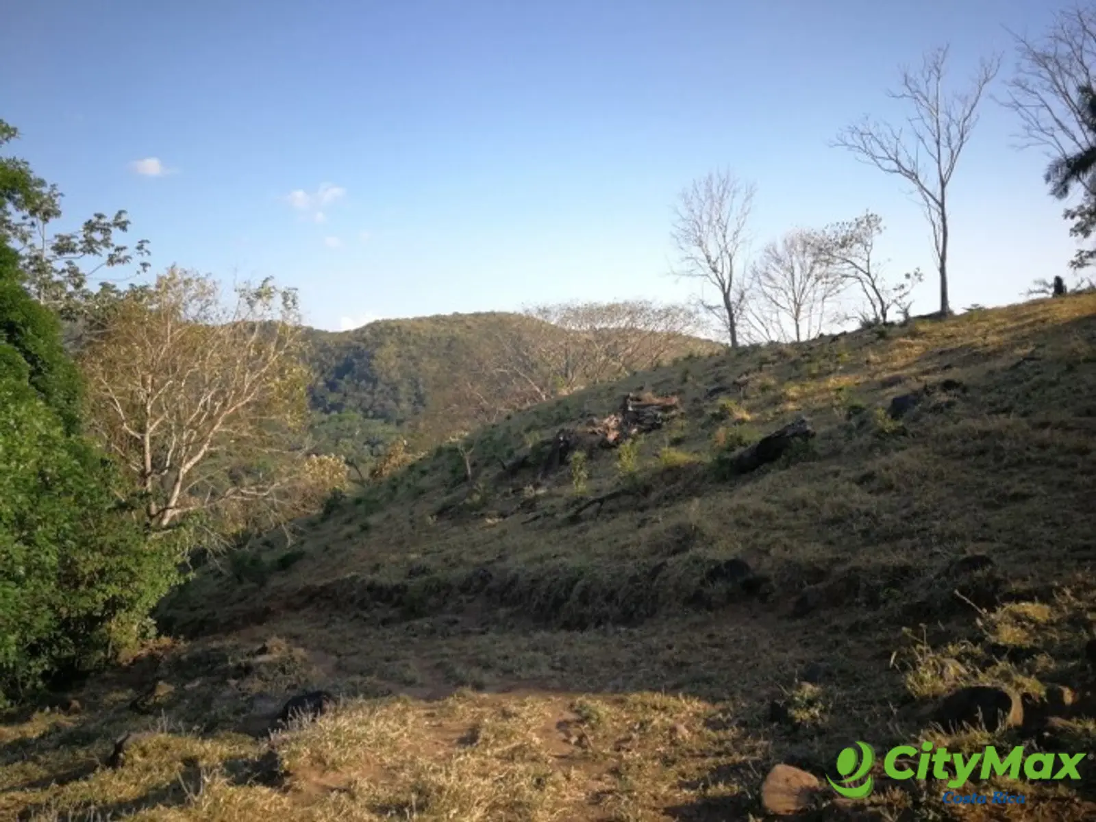 Finca en venta San Jerónimo de Esparza Puntarenas 15ha - foto 19