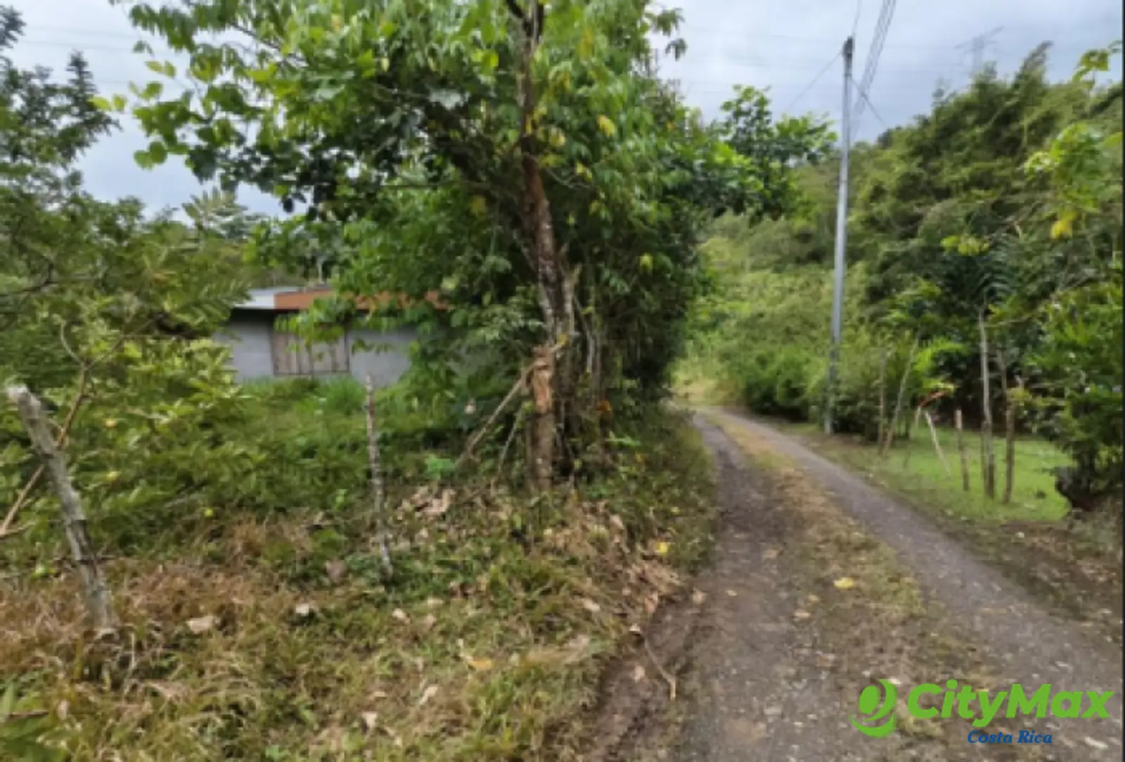 Finca en venta de 2,87 Hectareas en Tucurrique, Cartago - foto 13