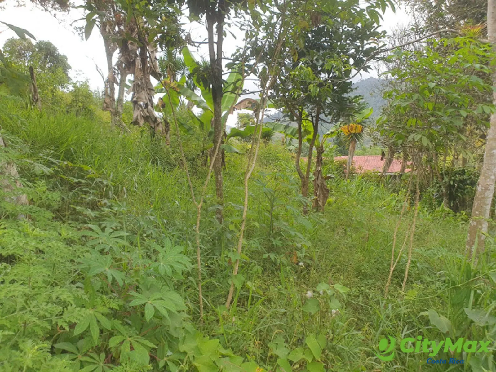 En venta terreno en Santa Rosa de Tayutic en Turrialba - foto 6