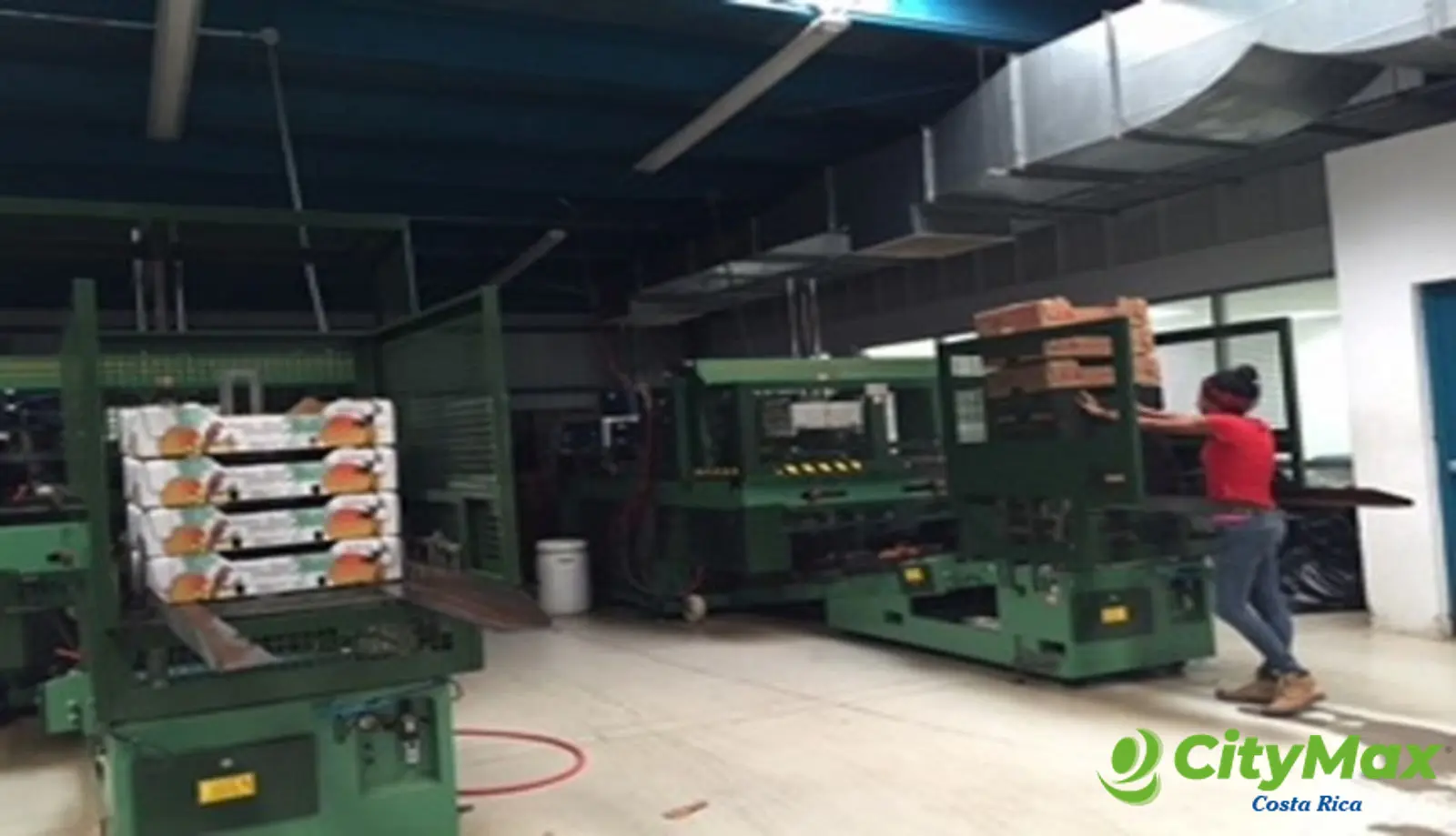 Amplia Finca Agrícola en Venta en Puntarenas - foto 4