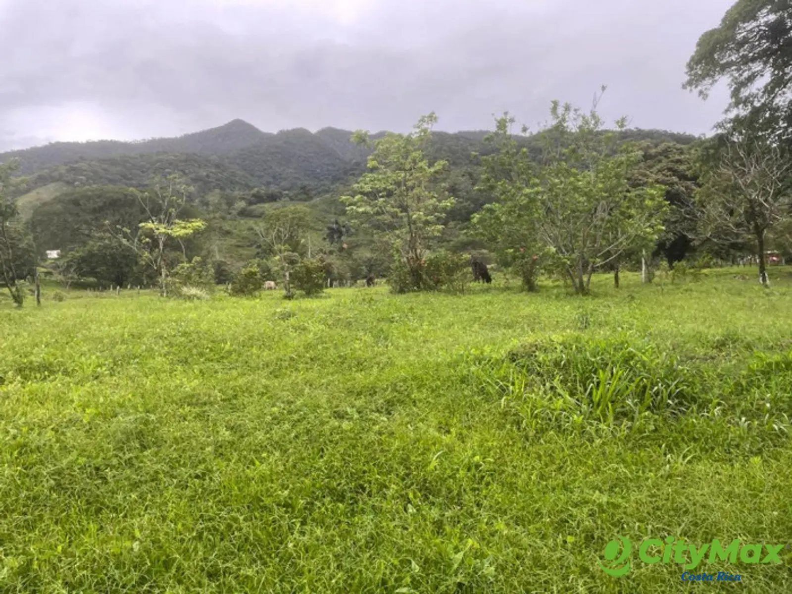 En Venta terreno en Rio Naranjo de Bijagua Guanacaste - foto 4