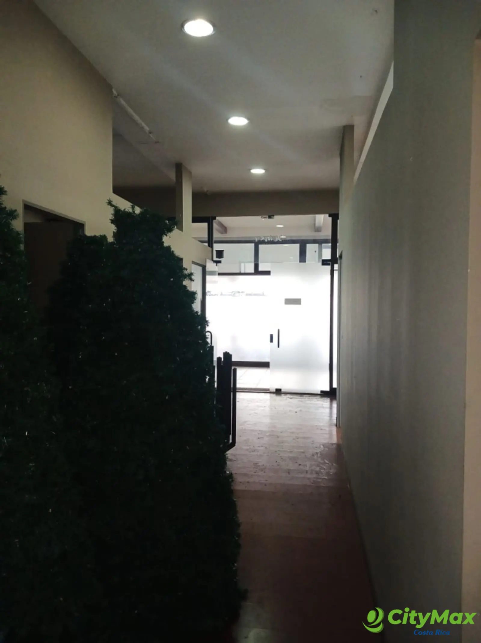 Local Comercial en Renta CC Plaza Rohrmoser San Jose - foto 9