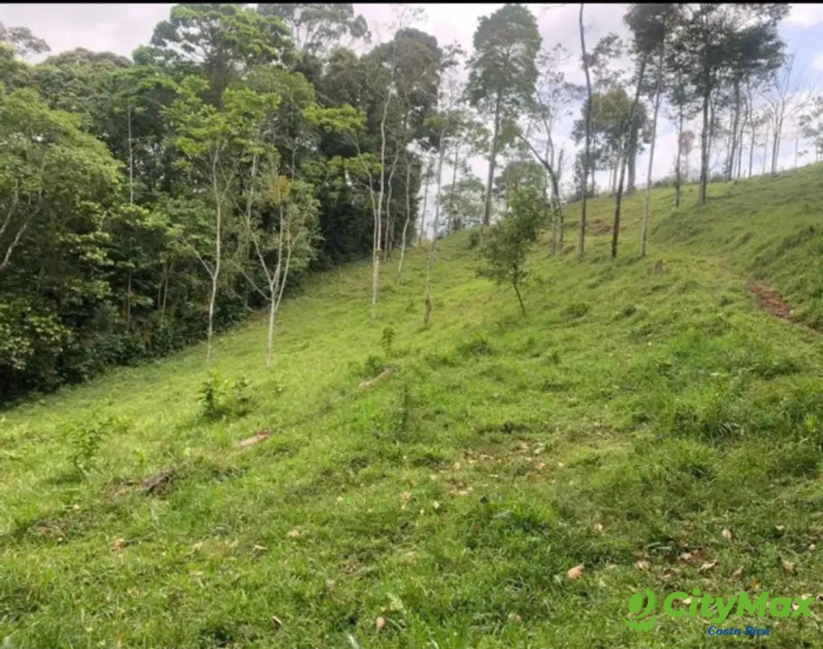 En venta finca ganadera Ciudad Quesada, San Carlos - foto 4