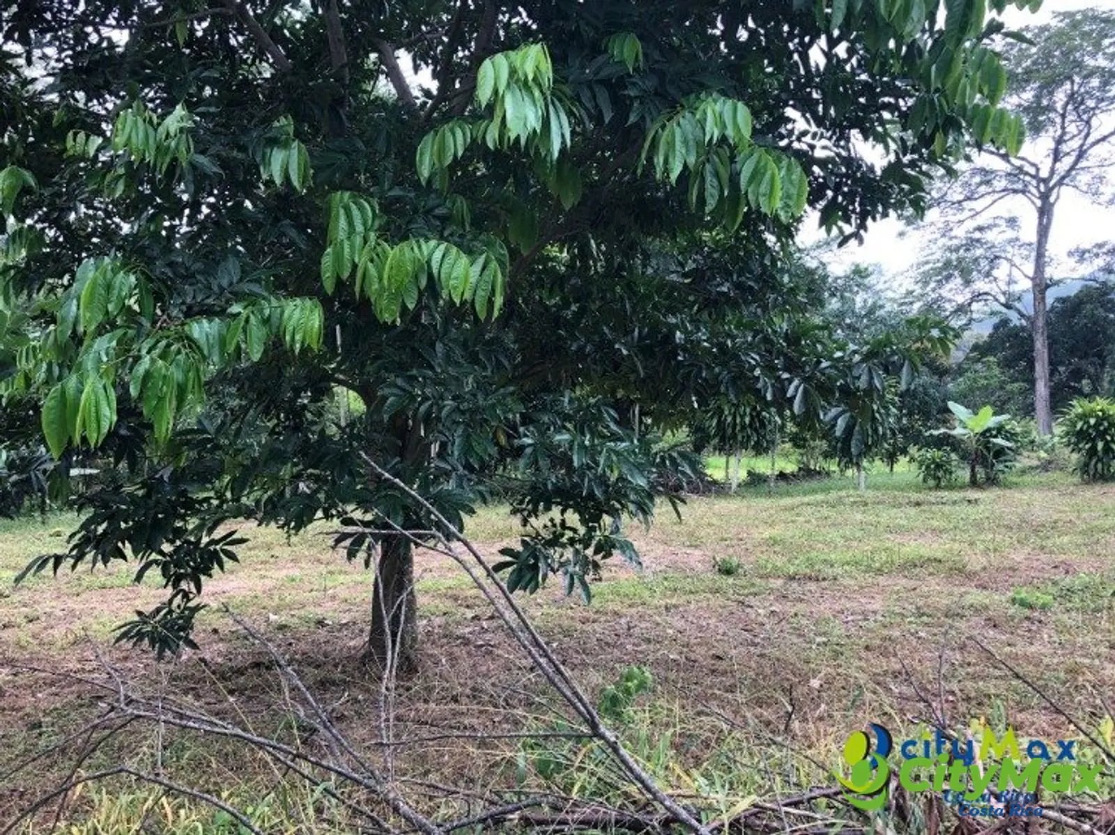 Se vende ampio, plano y hermoso terreno en Atenas  - foto 8