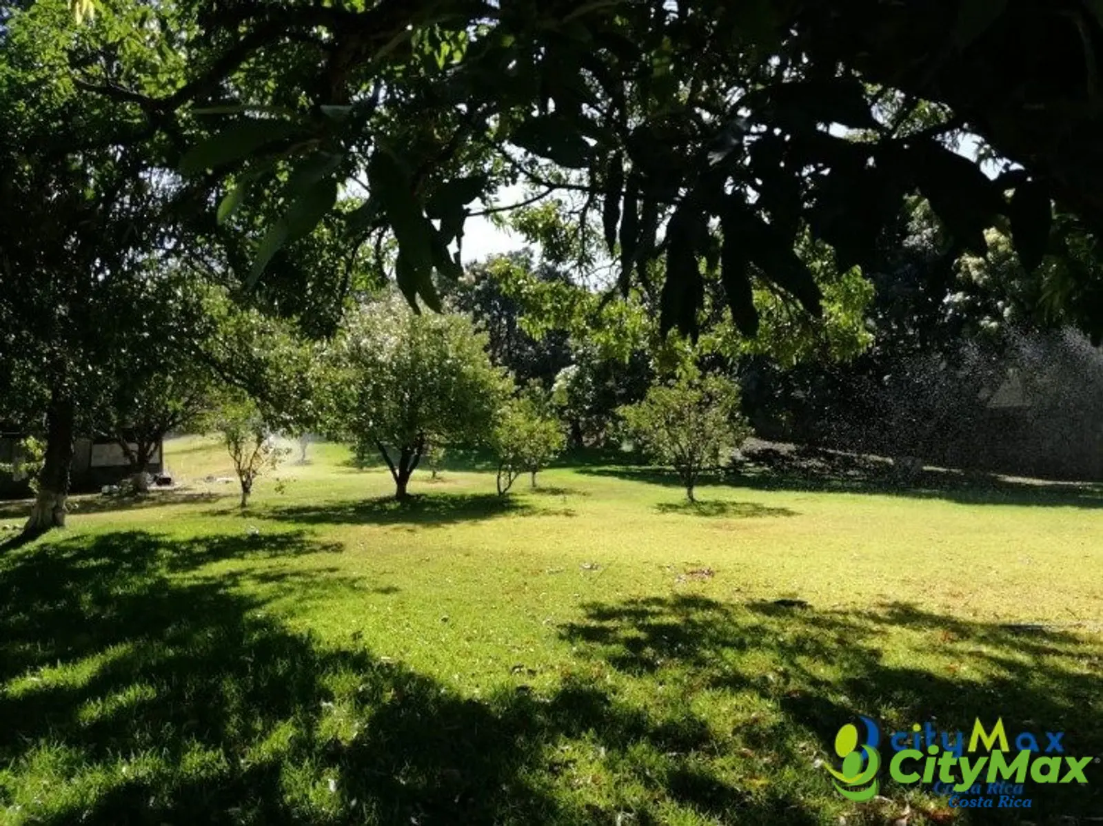 Terreno en Venta comercial u residencial Brasil Mora - foto 6