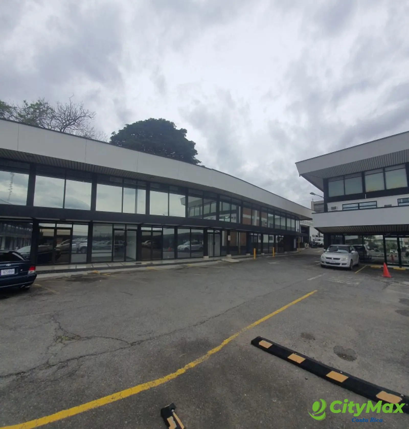 Local Comercial en Renta Plaza Sabana Sur  San Jose - foto 5