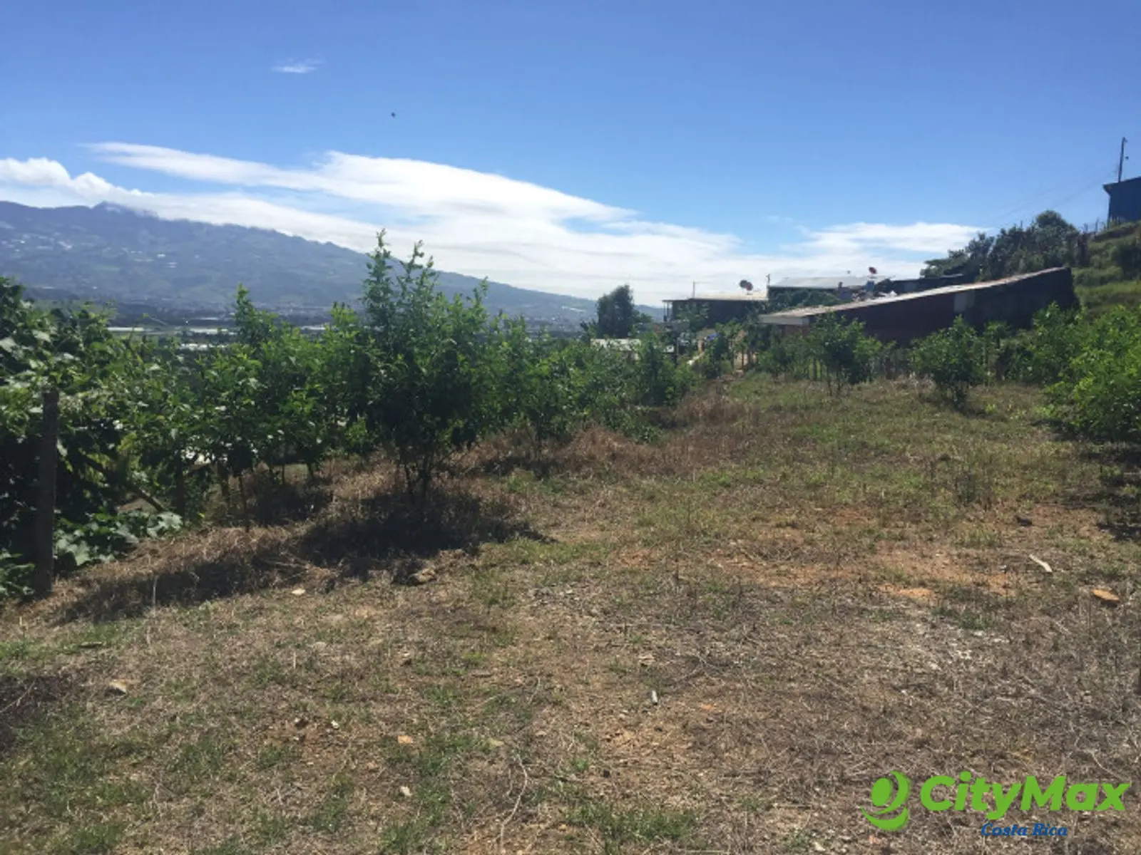 Terreno de 4,000 m² en Tobosi, Cartago Ideal Inversión - foto 4