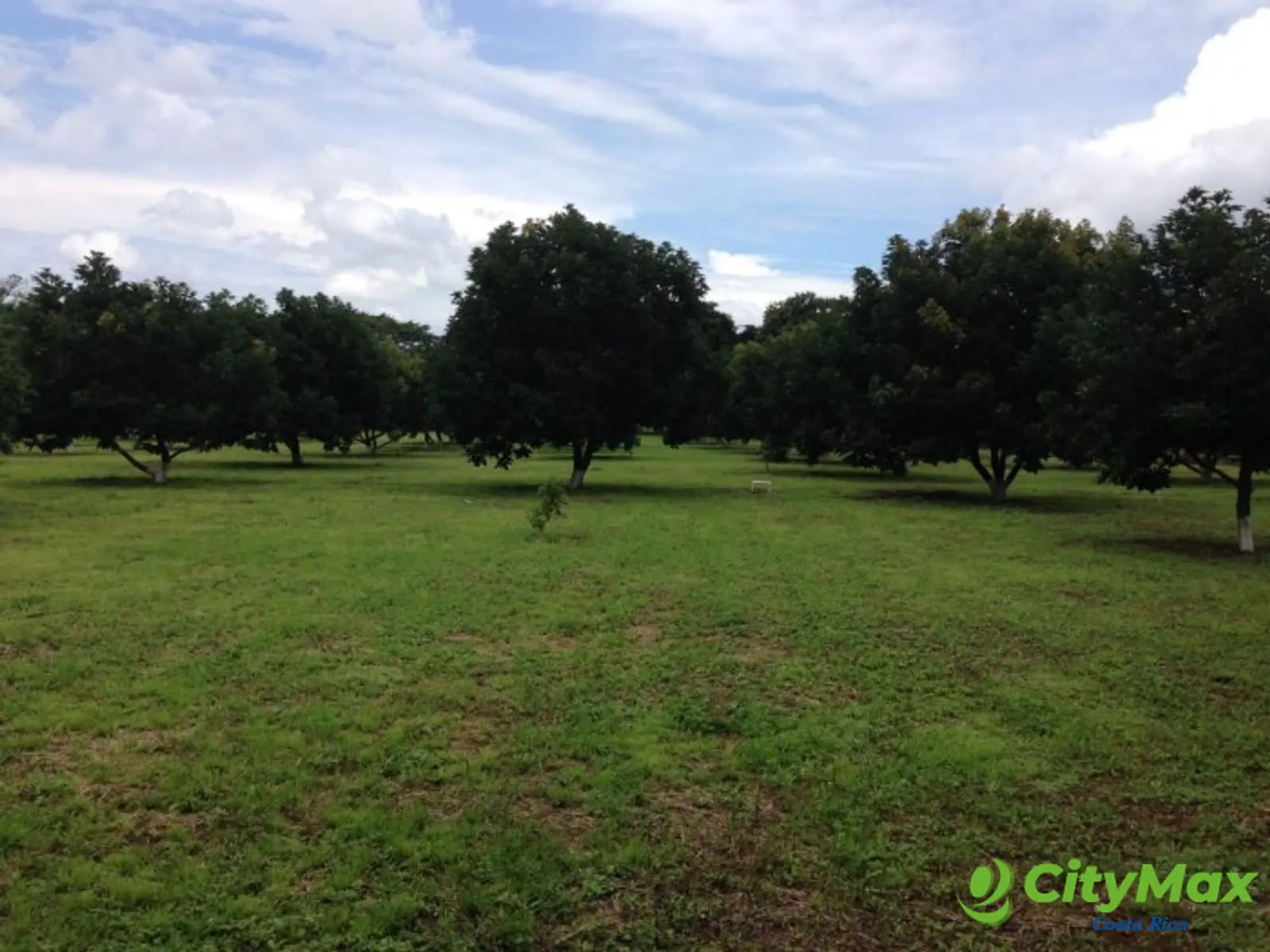 Finca en venta San Jerónimo de Esparza Puntarenas 15ha - foto 11