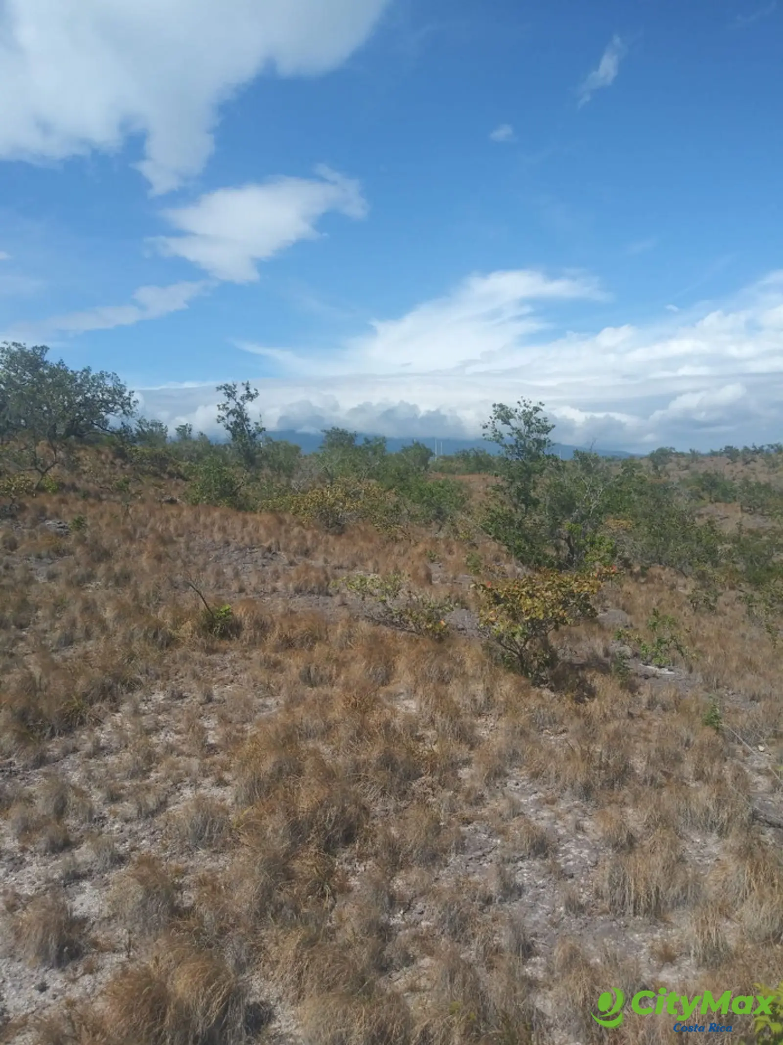 Lotes en venta, Liberia, Curubandé. - foto 8