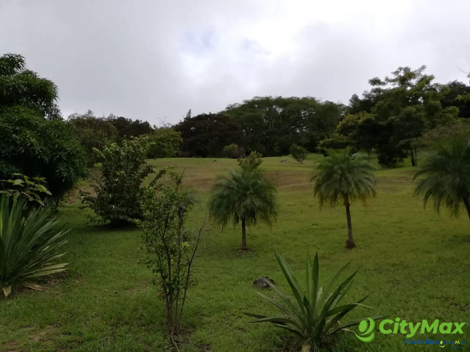 Finca con Casa en Venta en Río Oro, Santa Ana - foto 9