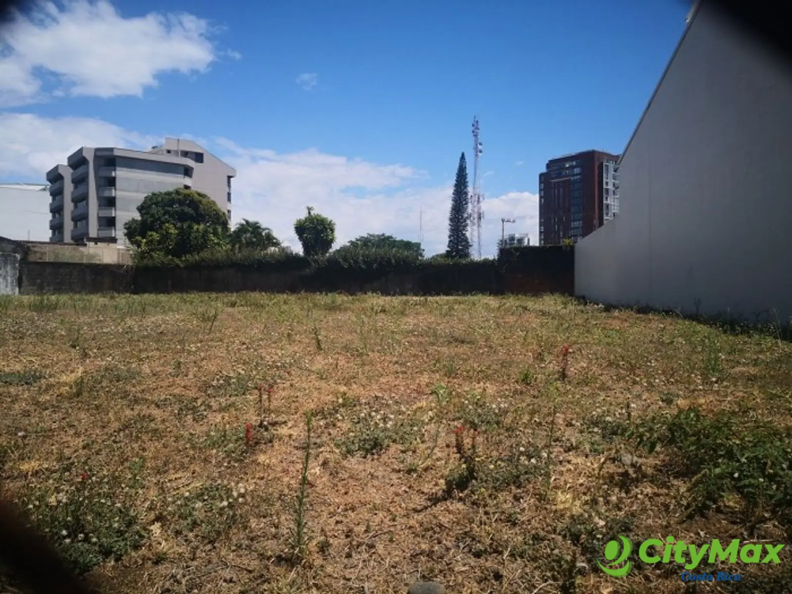 Terreno venta o alquiler con construcción en Nunciatura - foto 4