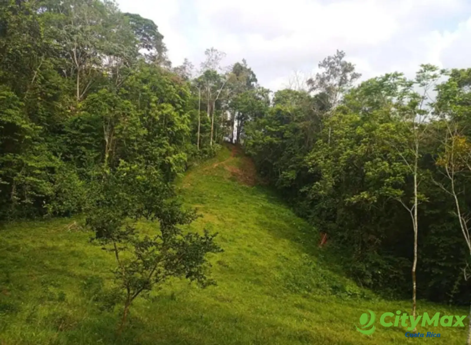 En venta finca ganadera Ciudad Quesada, San Carlos - foto 13