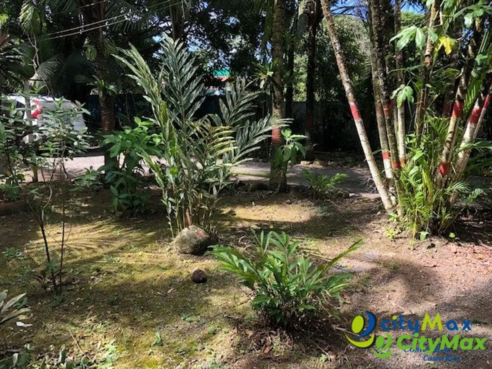 Finca Exclusiva en Venta Toro Amarillo de Guápiles - foto 8