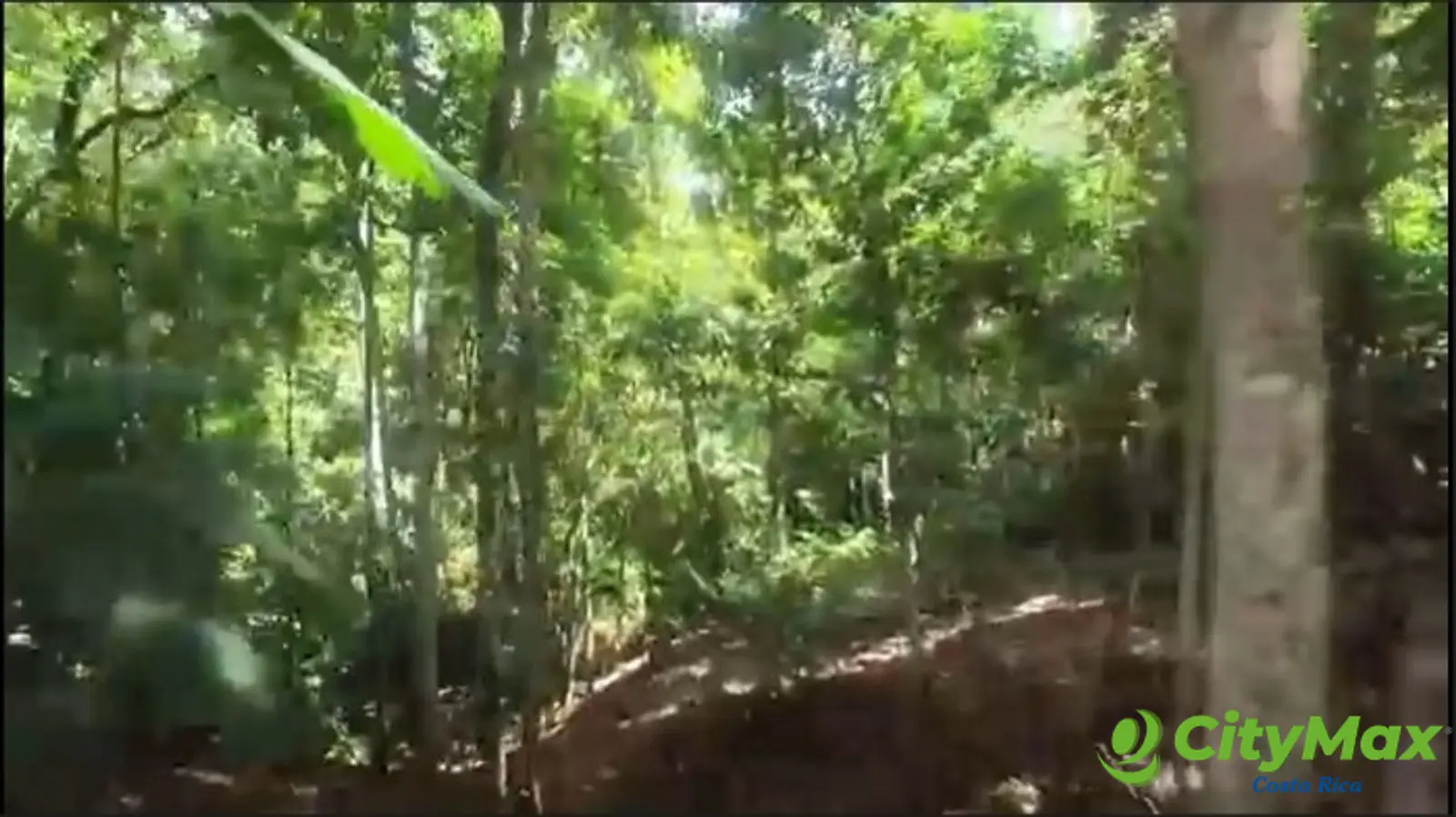 Terreno con Hotel en Perez Zeledón cerca Quebrada Honda - foto 18