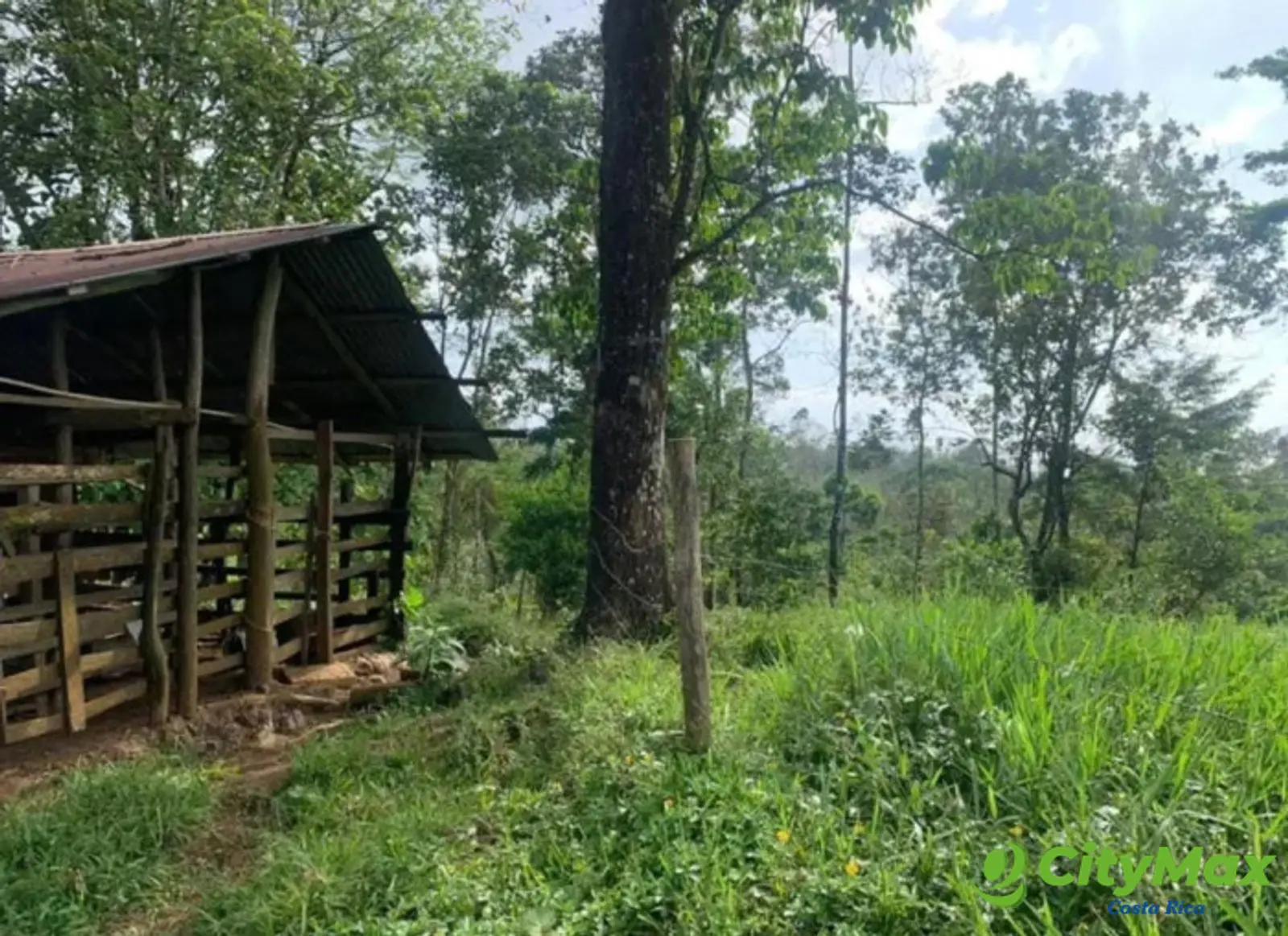 En venta finca ganadera Ciudad Quesada, San Carlos - foto 9