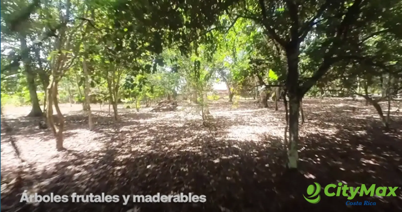 Terreno con Hotel en Perez Zeledón cerca Quebrada Honda - foto 11