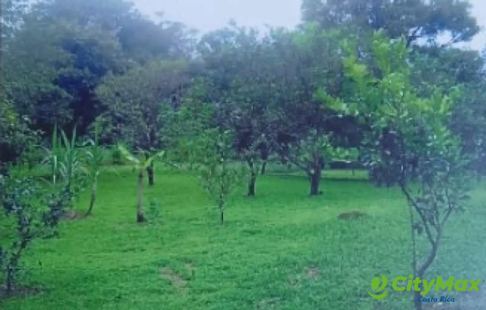 Se vende finca en Sarapiqui - foto 13