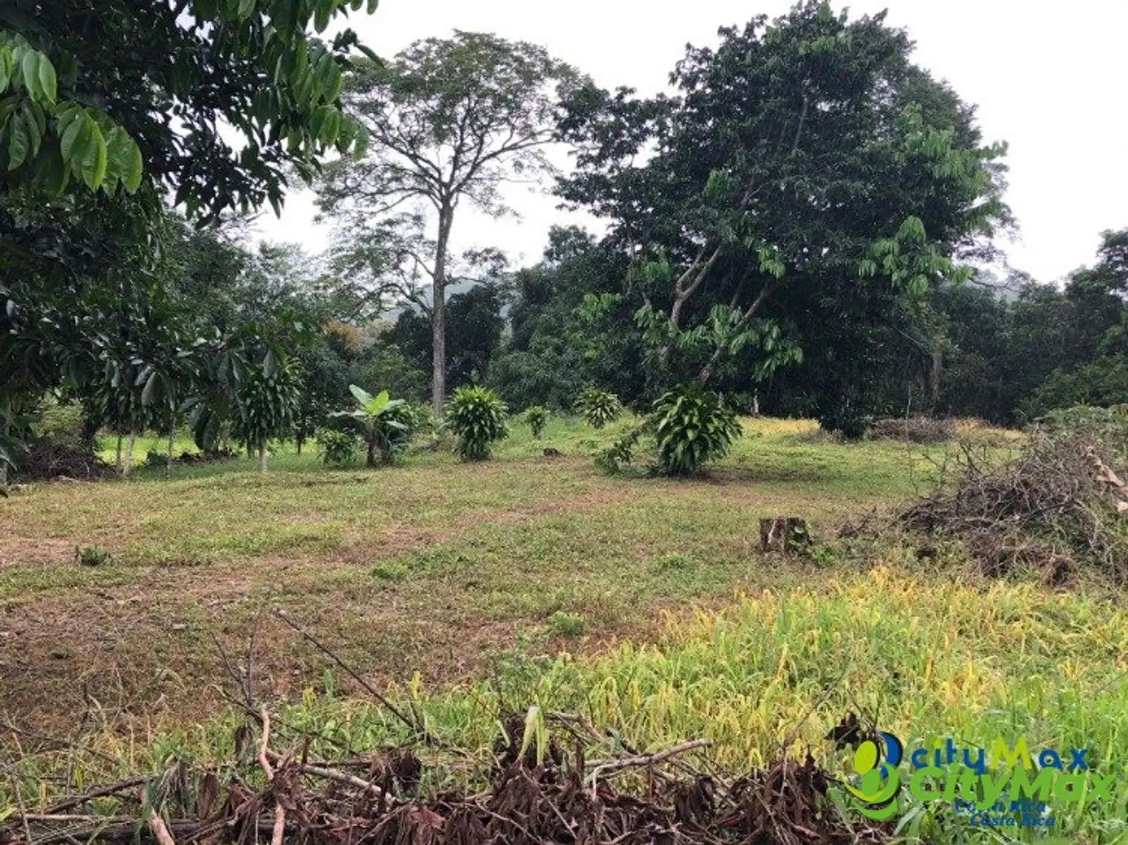 Se vende ampio, plano y hermoso terreno en Atenas  - foto 7