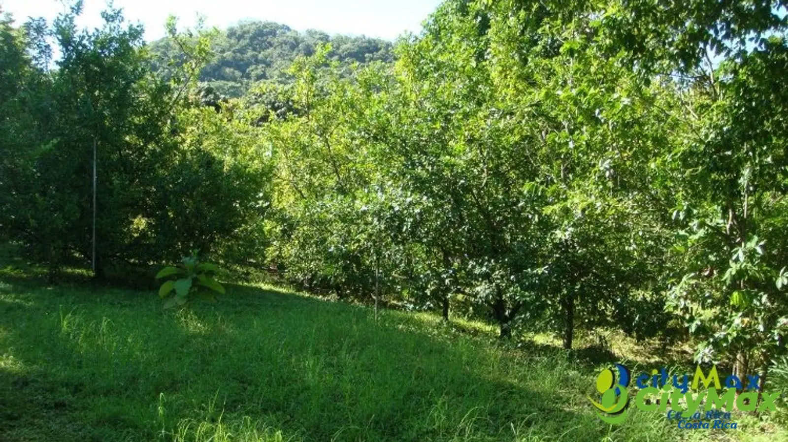 Venta de finca Guanacaste Belén Nicoya C.R. 3 hectáreas - foto 19