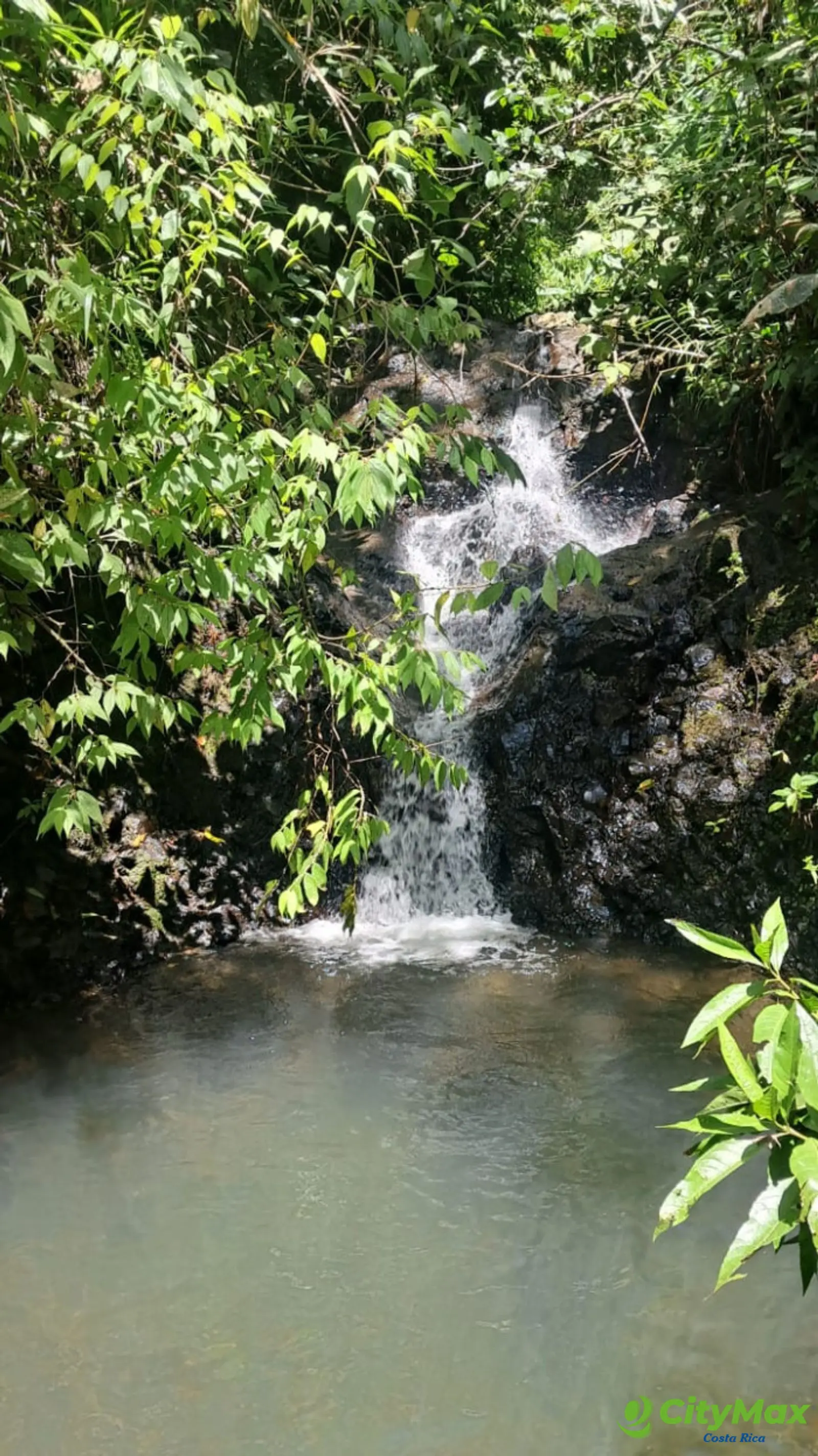 Finca en venta de 2,87 Hectareas en Tucurrique, Cartago - foto 21