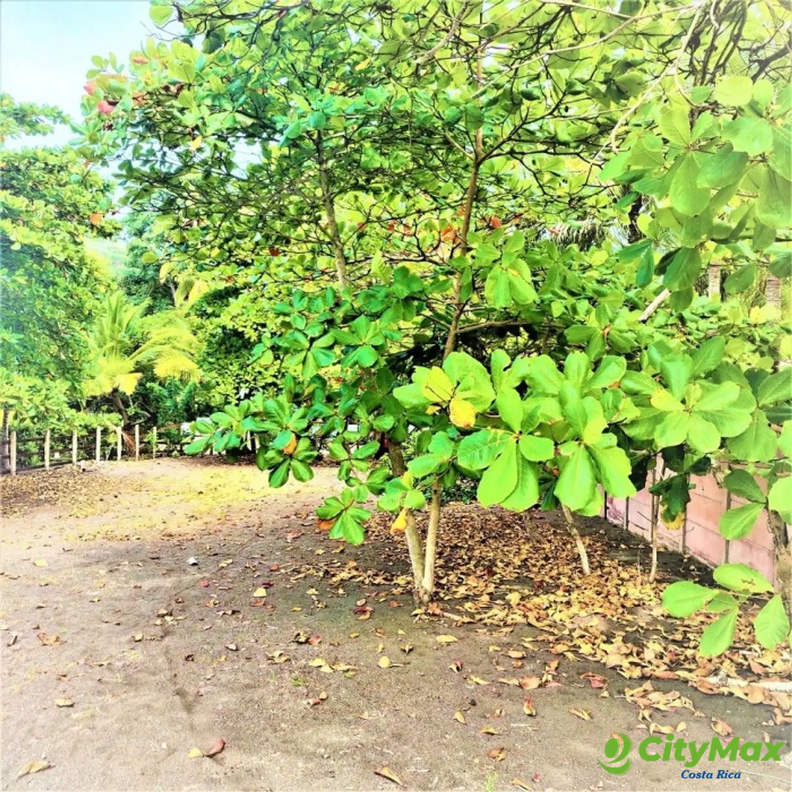 Lote Exclusivo en venta en Playa Tivives, Puntarenas - foto 10