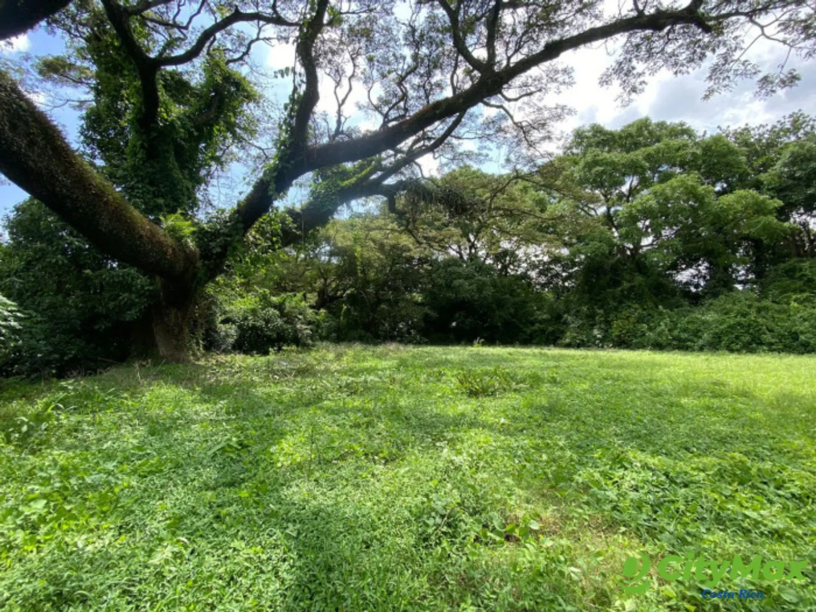 Venta de Lote en La Guácima Arriba Alajuela Costa Rica - foto 4