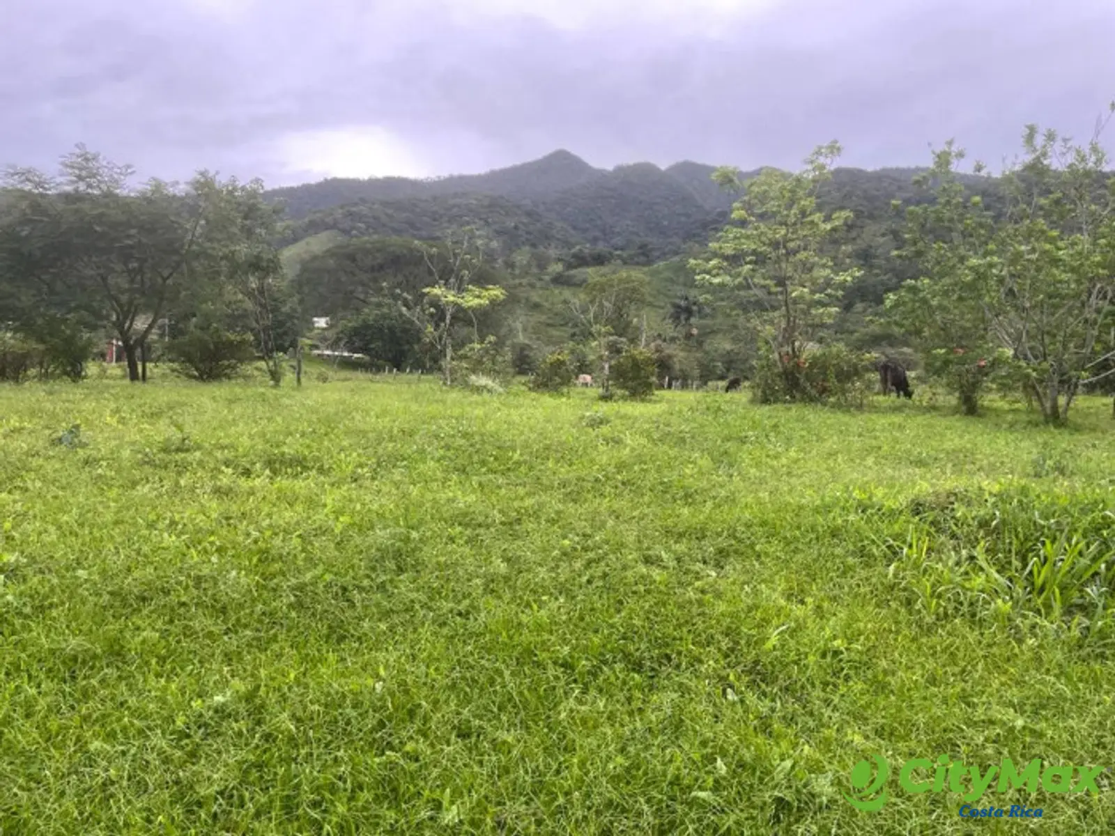 En Venta terreno en Rio Naranjo de Bijagua Guanacaste - foto 3