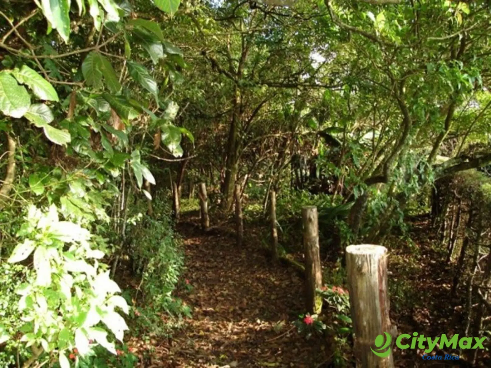 Se vende hermosa Finca en Angeles, San Rafael, Heredia - foto 9