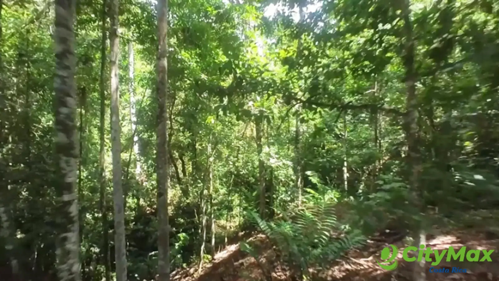Terreno con Hotel en Perez Zeledón cerca Quebrada Honda - foto 12