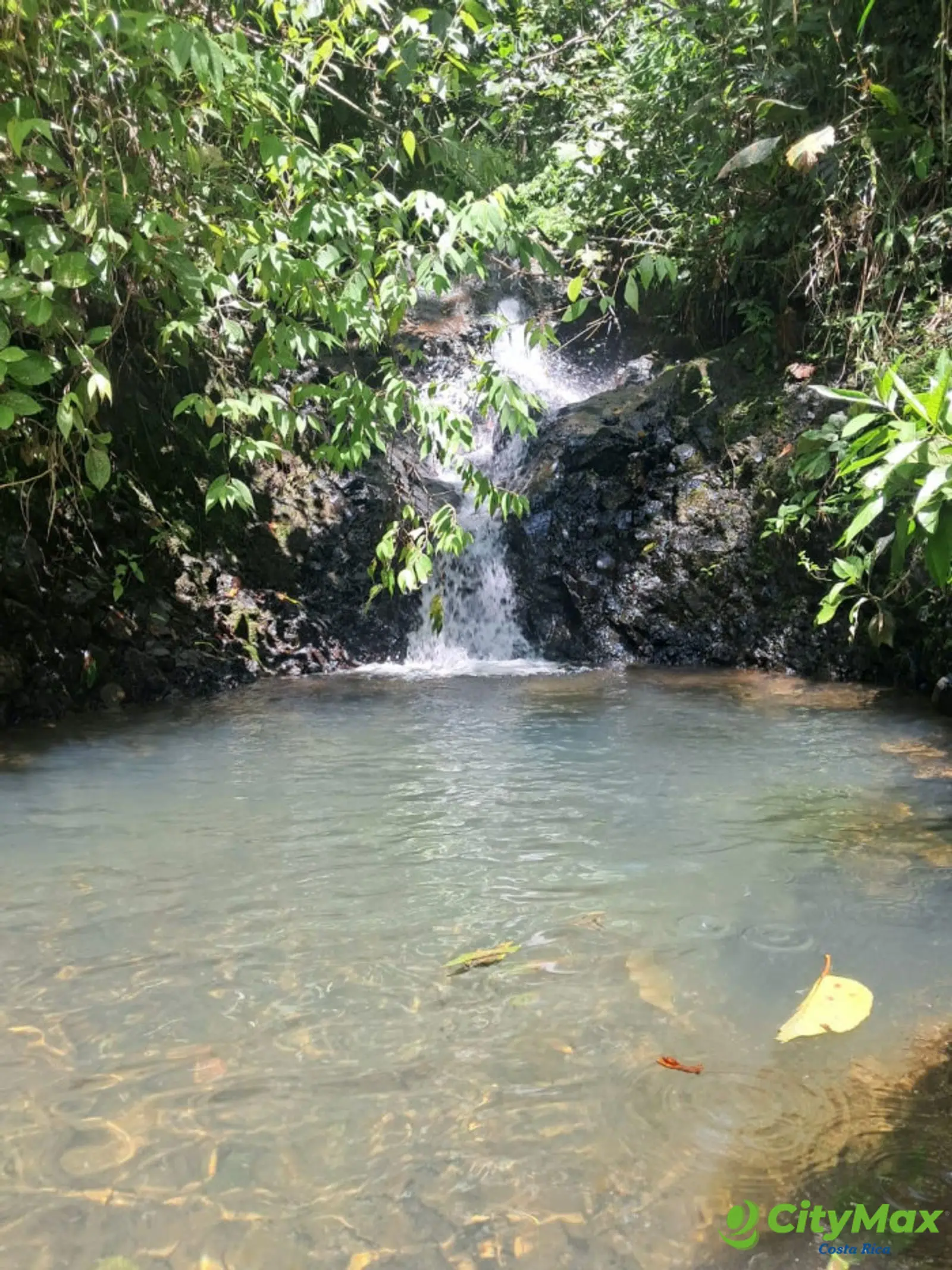 Finca en venta de 2,87 Hectareas en Tucurrique, Cartago - foto 22