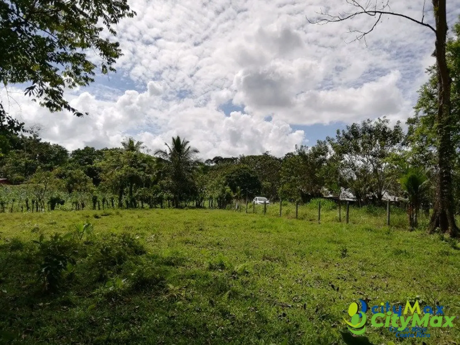 Amplio Terreno en Jiménez, Guácimo Ideal Inversión - foto 6