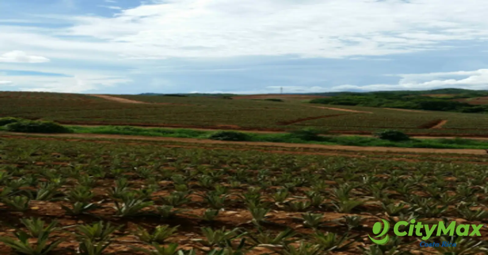 Amplia Finca Agrícola en Venta en Puntarenas - foto 7