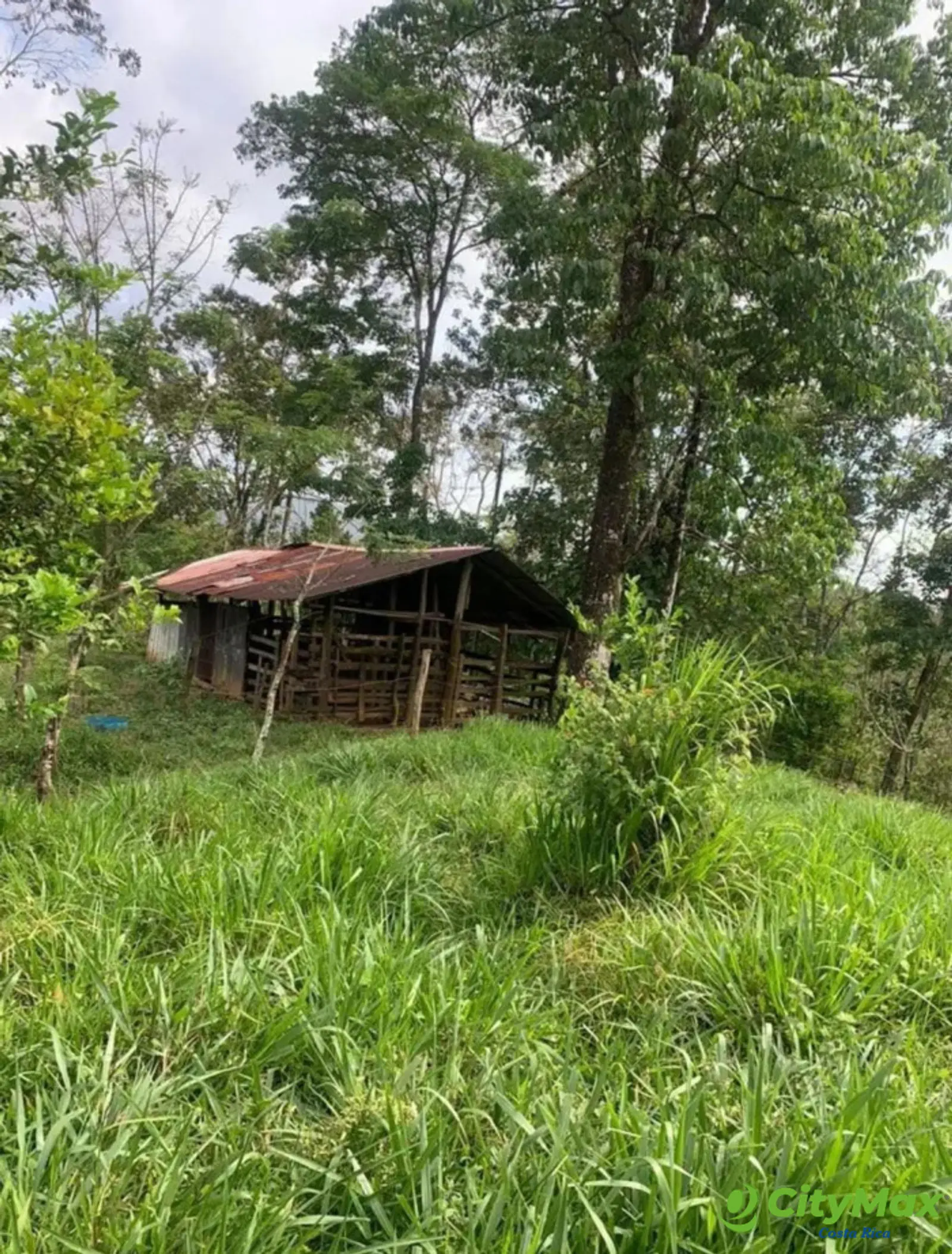 En venta finca ganadera Ciudad Quesada, San Carlos - foto 3