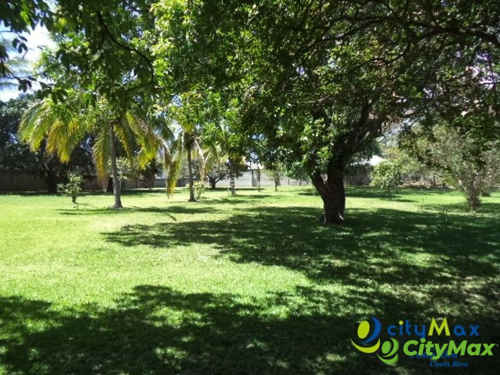 Terreno en Venta comercial u residencial  Brasil Mora - foto 7