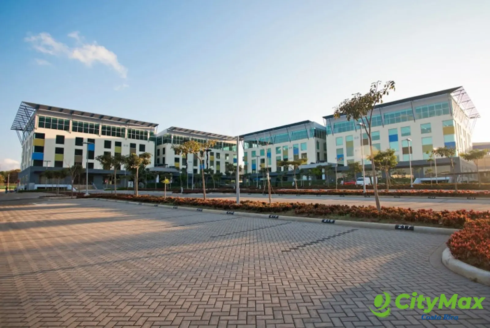 Oficinas en Alquiler Terra Campus - foto 2