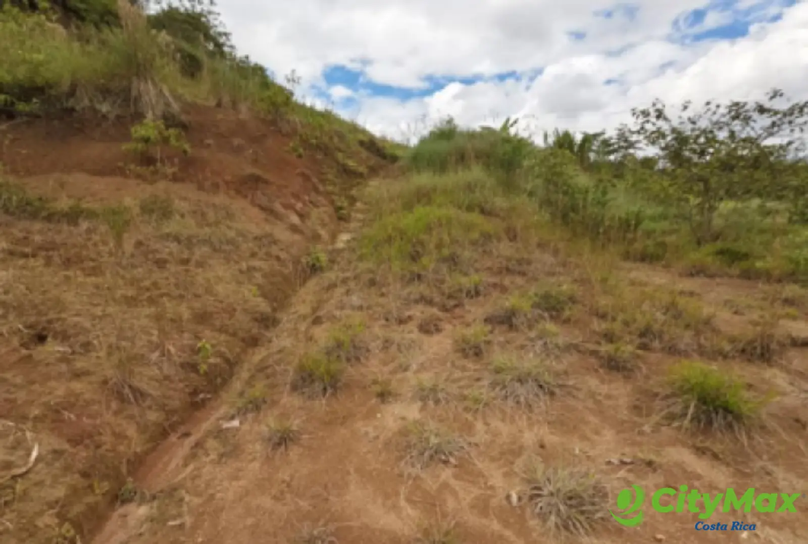 Finca en venta de 2,87 Hectareas en Tucurrique, Cartago - foto 12