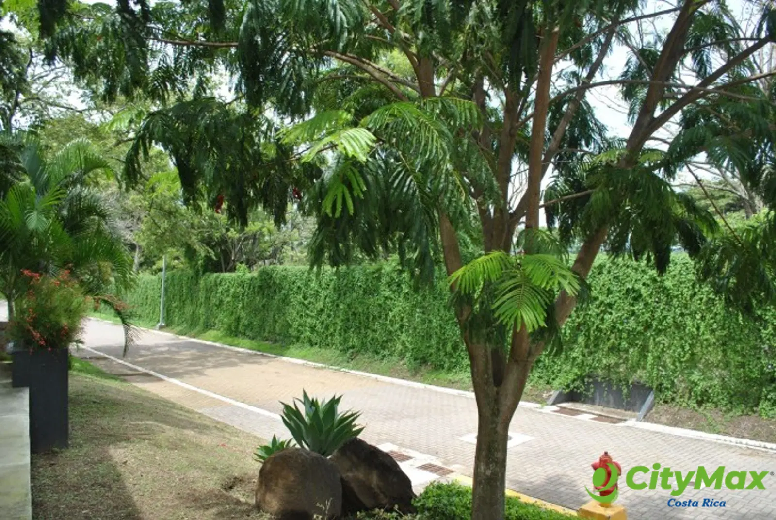 Terreno Exclusivo en Venta en La Guácima, Alajuela. - foto 3
