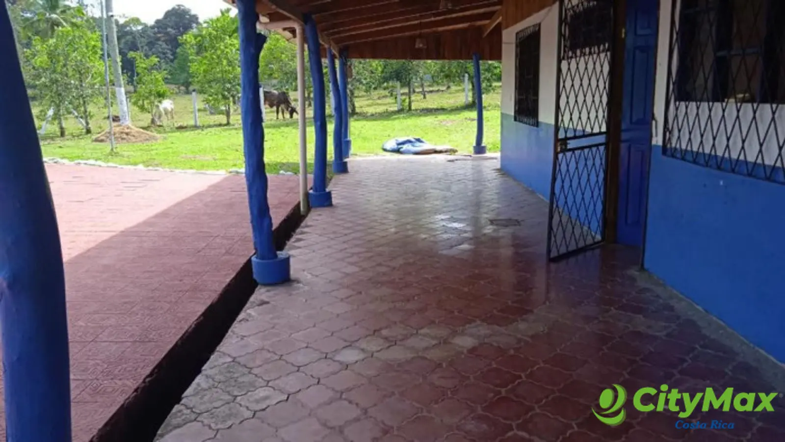 EN VENTA FINCA CON 2 CASAS EN SIQUIRRES LIMÓN - foto 9