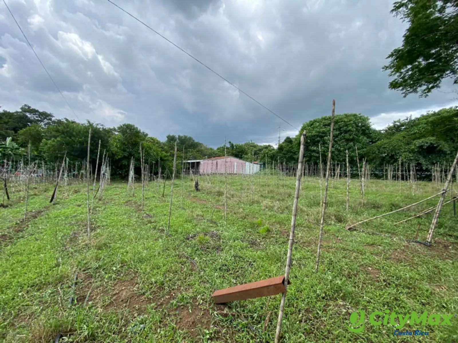 Venta de Lote en La Guácima Arriba Alajuela Costa Rica - foto 5
