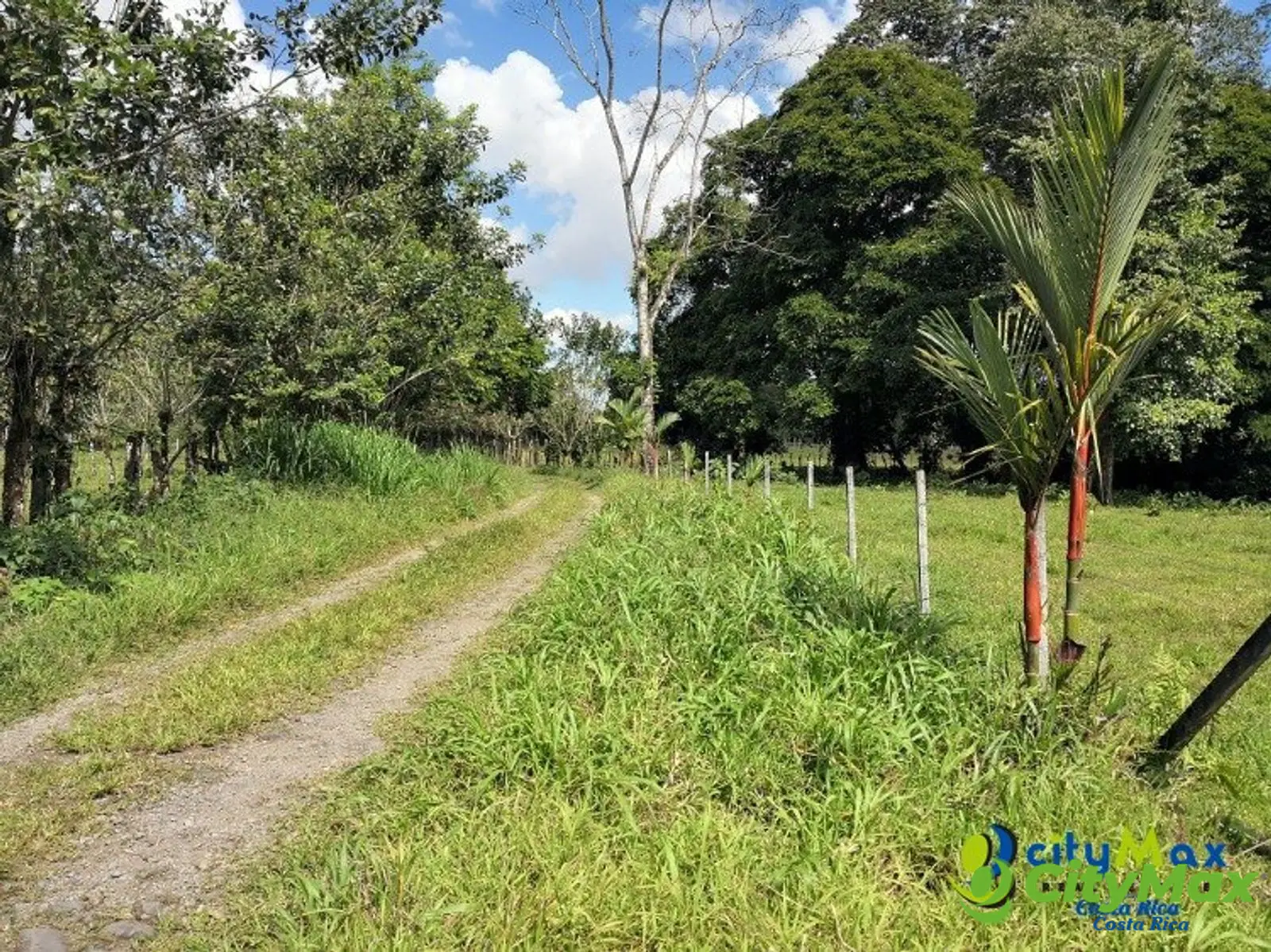 Amplio Terreno en Jiménez, Guácimo Ideal Inversión - foto 5