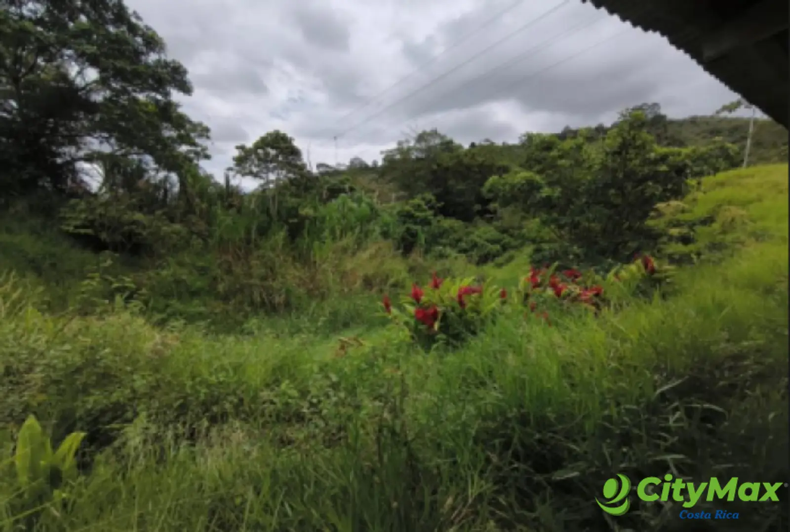 Finca en venta de 2,87 Hectareas en Tucurrique, Cartago - foto 11